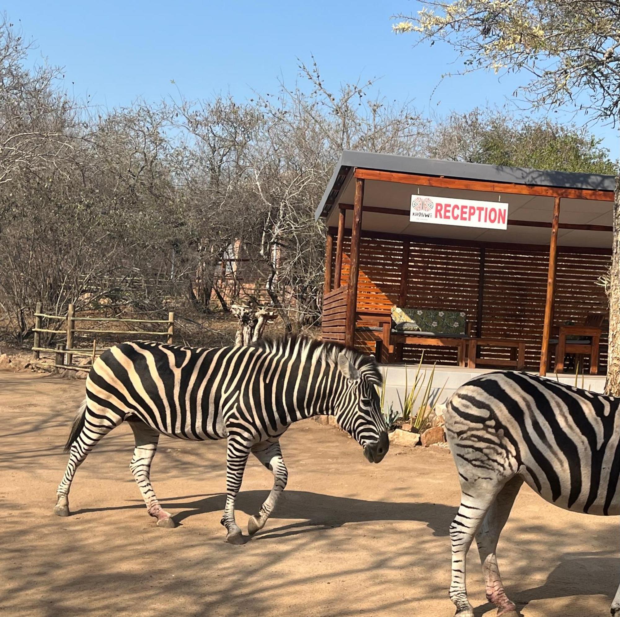 Kholiwe On Kruger Lodge & Safaris Марлот Парк Екстериор снимка