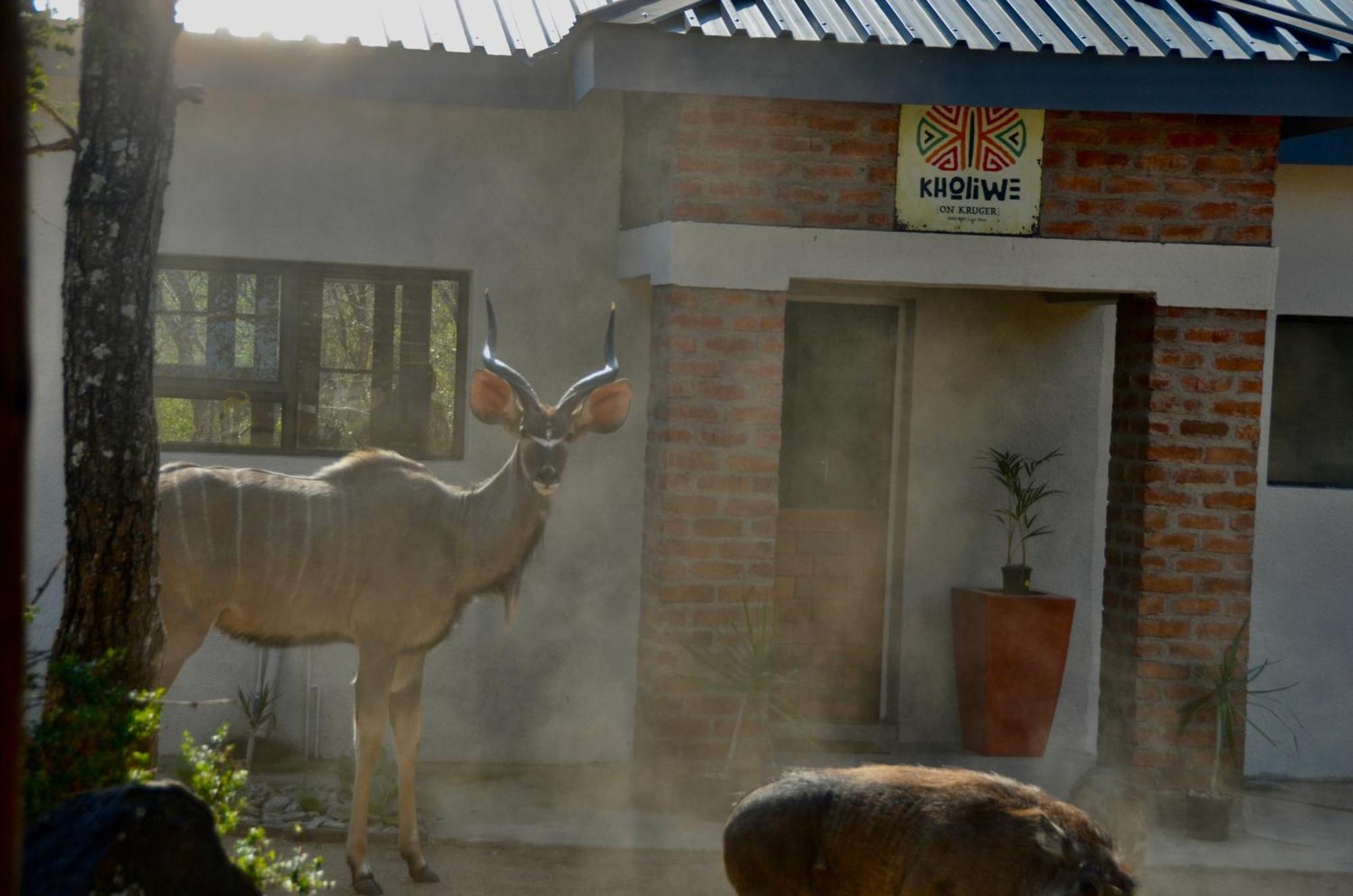 Kholiwe On Kruger Lodge & Safaris Марлот Парк Екстериор снимка