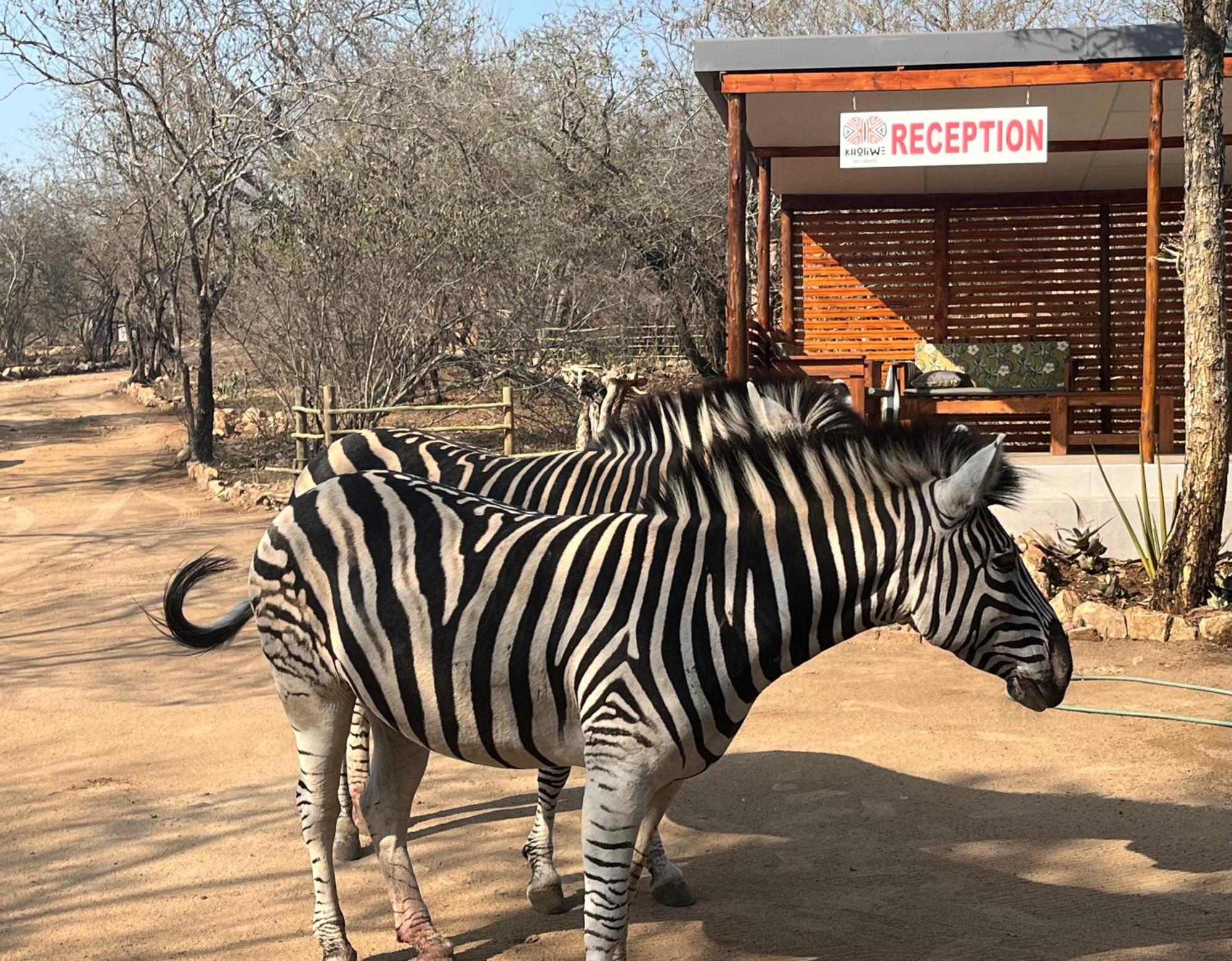 Kholiwe On Kruger Lodge & Safaris Марлот Парк Екстериор снимка
