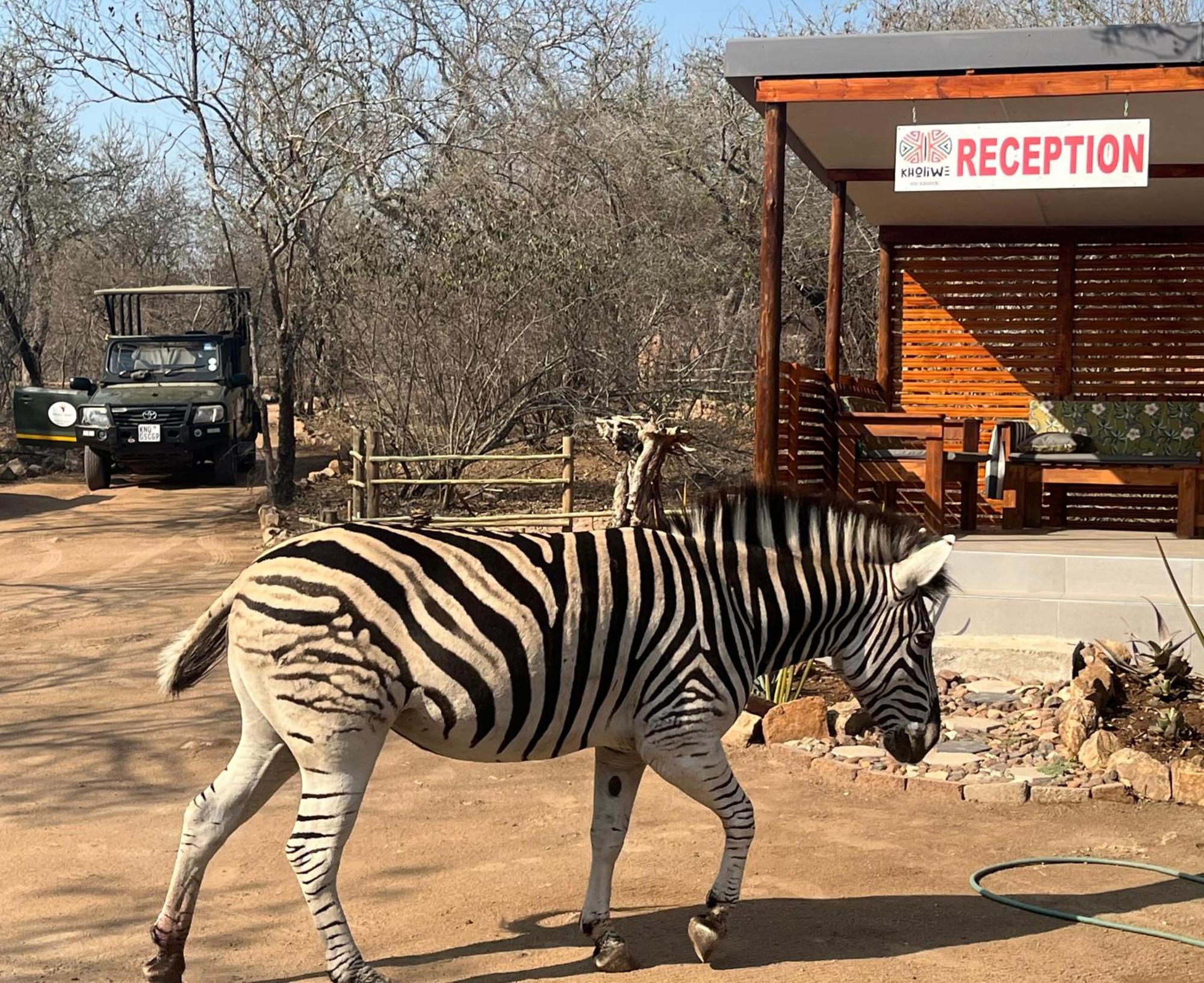 Kholiwe On Kruger Lodge & Safaris Марлот Парк Екстериор снимка