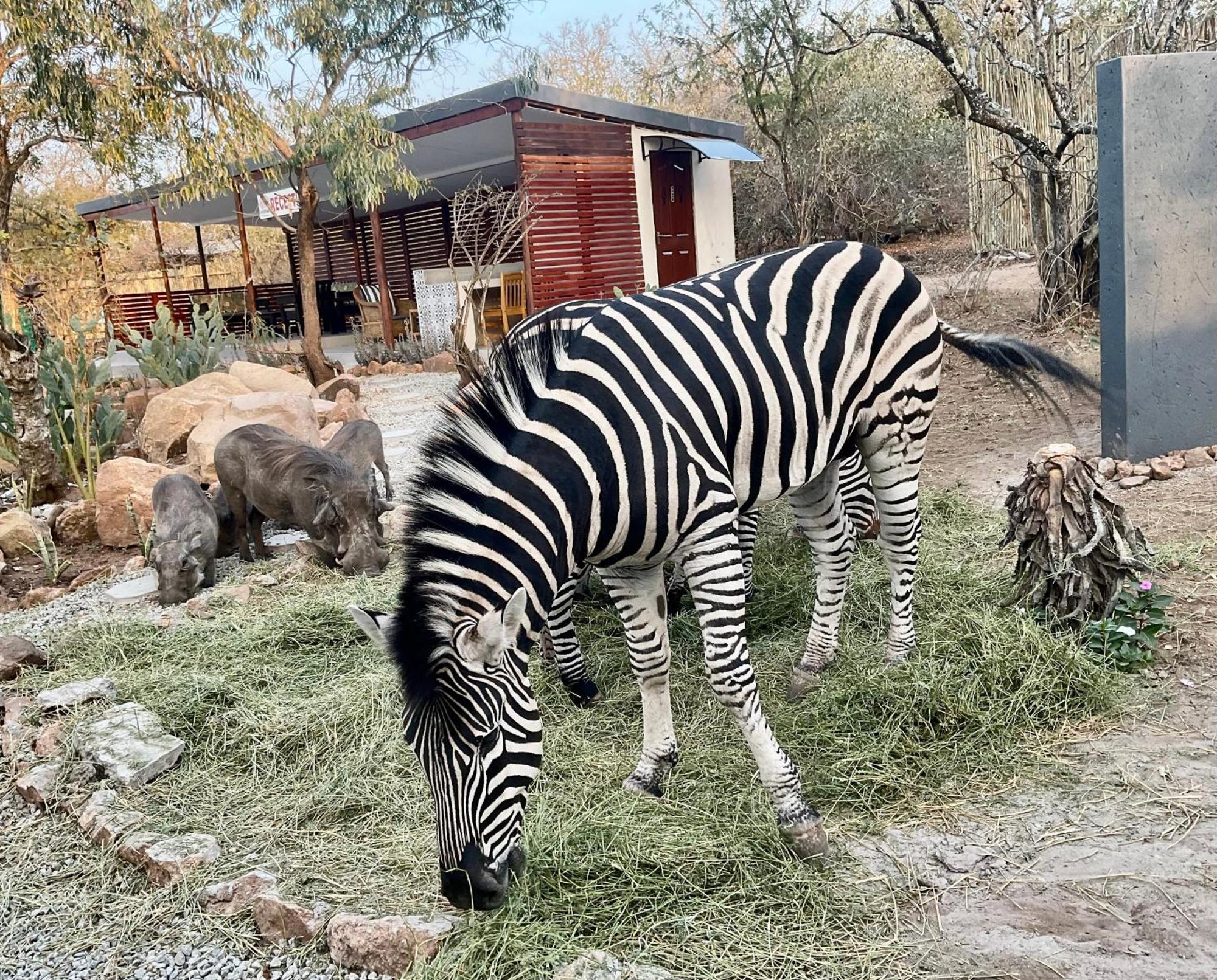 Kholiwe On Kruger Lodge & Safaris Марлот Парк Екстериор снимка